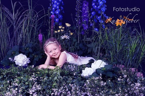 Blumenwiese im Studio