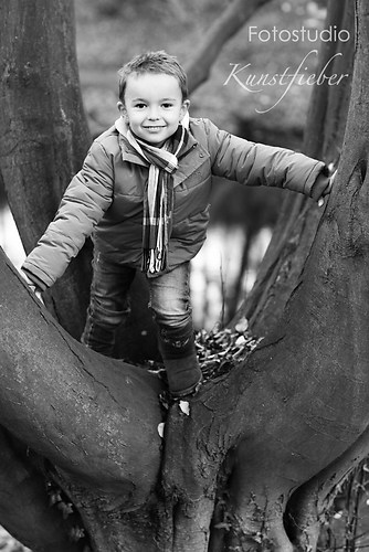 Actionfotos im Herbst