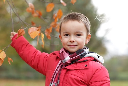 Actionfotos im Herbst