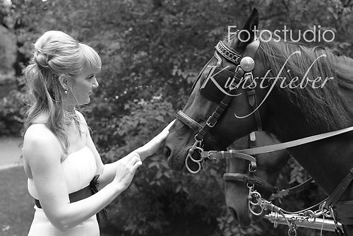 Braut und Kutschpferd