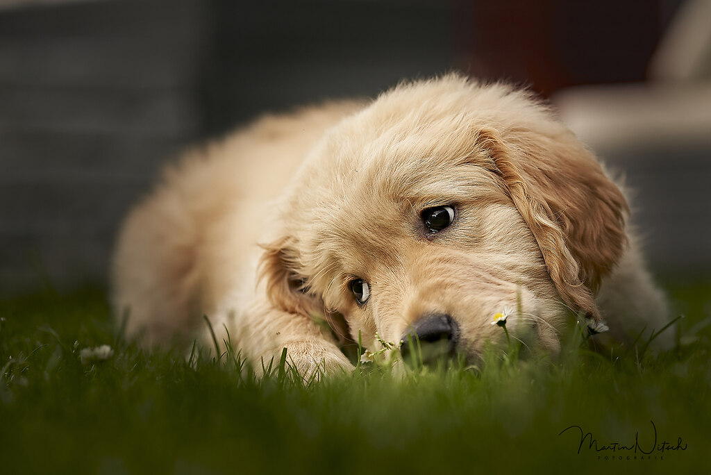 Cooper 07_20 39 | Cooper
