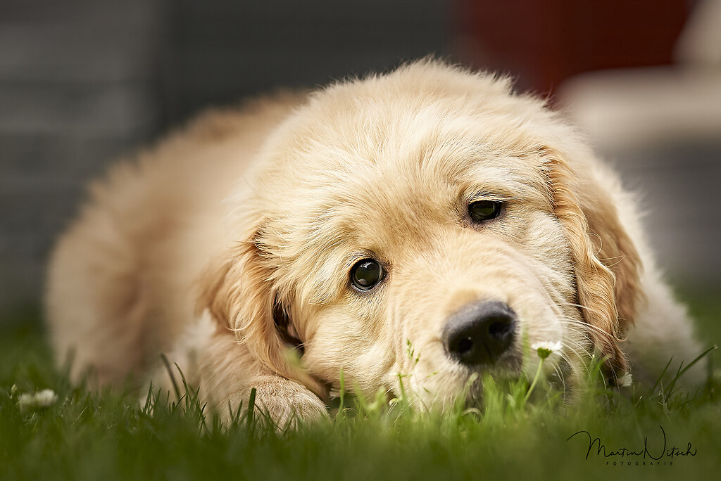 Cooper 07_20 40 | Cooper