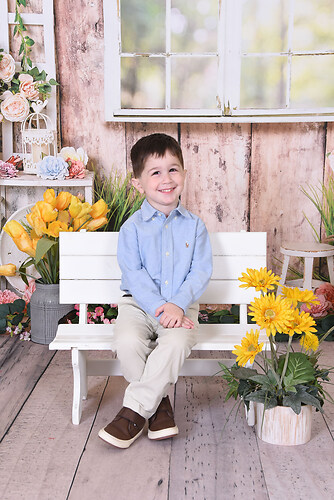 Spring Pictures