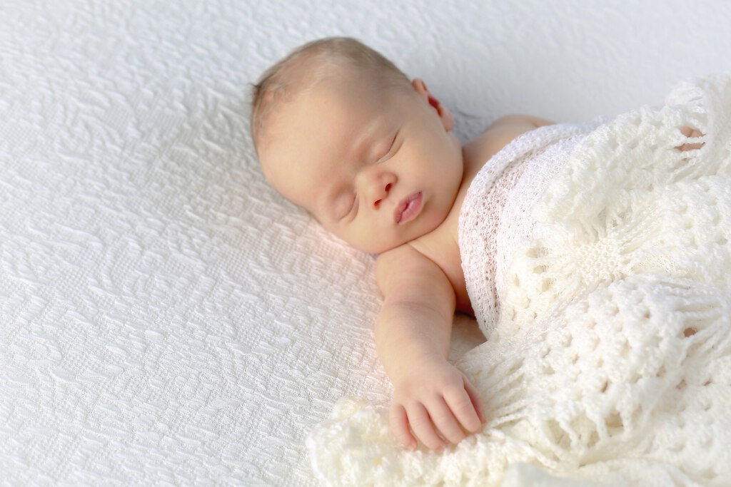 7426-A-Julian Peters_ex1-Vingette