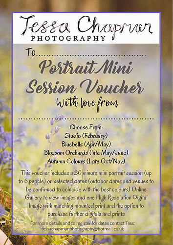 Mini Session Voucher(1)