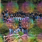 Mayflower Seniors 2026