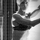 Kalender Lissi´s - Limited Edition