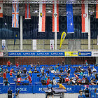 17 th Linz Austria Raiffeisen Youth Championships