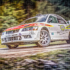 Jänner Rallye 2019_Test