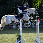 15 - Springprfg. Kl.S* m. St.