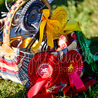 Int. Passchampionat Zachow 26.09.2021