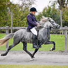 Z.FUV5 Futurity Fünfgang