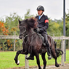 Z.FUT5 + 6 Futurity Tölt