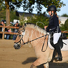 Reitertag Ollendorf 20.09.2020
