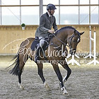 4 - Springpferdeprfg. Kl.M*