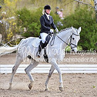 1/2 - Dressurprfg. Kl.A* ab 5 RLP