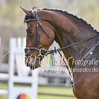 3 - Springpferdeprfg. Kl.A**