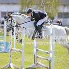 5/2 - Punktespringprfg. Kl.A* ab 44 RLP