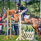 14 - Zwei-Phasen-Spring-WB