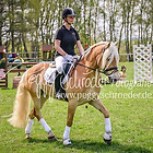 Schauprogramm Haflingerhof Hänisch