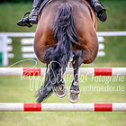 16 - Springprfg. Kl.M** Jagd um Punkte