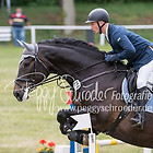 15/2 - Springprfg. Kl.M* Herren