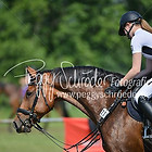 13 - Punktespringprfg. Kl.L geschl.