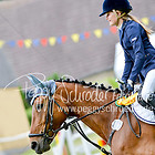 12.1 - Stilspringprfg. Kl.A* bis 14 RLP