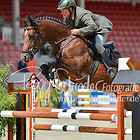 46 - Springpferdeprfg. Kl.M* Quali BuCha 6 jä.