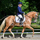 19 - Reitpferdeprfg.