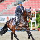 37/1 - Springprfg. Kl.M** Übrige