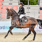 38/1 - Springprfg. Kl.M** 2.WP Damen JR