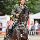 41 - Springprfg. Kl.S* 2.WP Herren