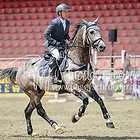 39/2 - Springprfg. Kl.S* Übrige