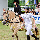 21 - Führzügelklasse