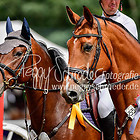 18/2 - Zwei-Phasen-Springprfg. Kl.L ab 371 RLP