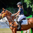 22 - Standard-Spring-WB