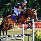 FR - Springpferdeprüfungen