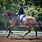 2 - Dressurprfg. Kl.A* A6/1