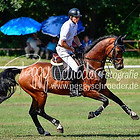 17/2 - Springprfg. Kl.M* ab 1424 RLP