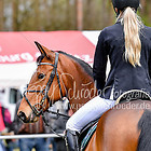 4/1 - Zwei-Phasen-Springprfg. Kl.A** bis 39 RLP