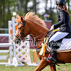 15 - Zwei-Phasen-Spring-WB