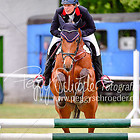 8 - Stilspringprfg. Kl.A* m. St.