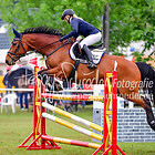 13 - Springprfg. Kl.L