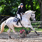 12 - Springprfg. Kl.A** m. St. Ü40