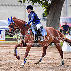 14/1 - Springprfg. Kl.L bis 205 RLP