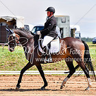 16 - Dressurprfg. Kl.A** A9/1