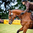 11 - Punktespringprfg. Kl.A*