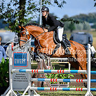 5.1 - Springprfg. Kl.A* andere TN