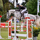 11 - Springpferdeprfg. Kl.L 6-7 jährig